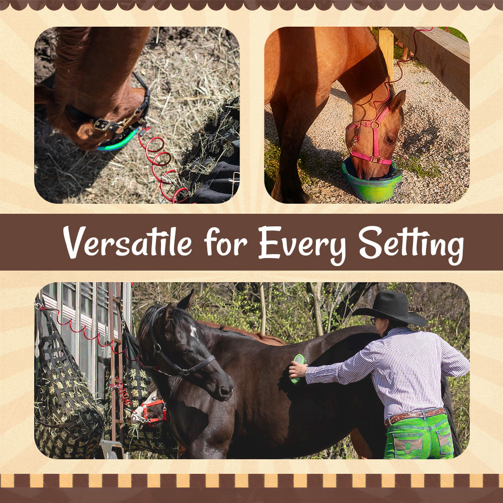 Horse Stretch Spring Rope