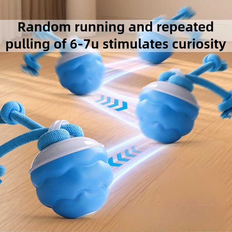 🔥Interactive Dog Toys with Motion Activated