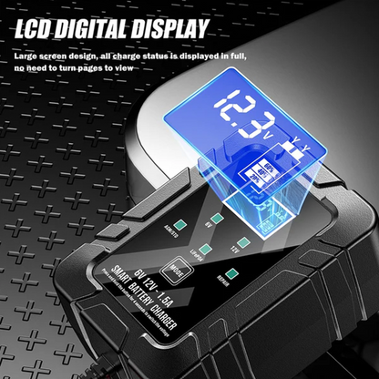 Smart Battery Charger, 6V and 12V, Battery Maintainer, For Lead-Acid & Lithium Batteries