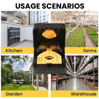 🐭 Reusable Mouse Trap