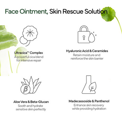 Intensive Cica Repair Cream