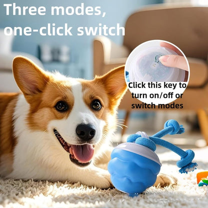 🔥Interactive Dog Toys with Motion Activated
