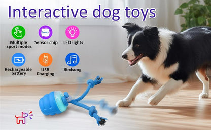 🔥Interactive Dog Toys with Motion Activated