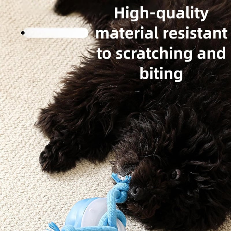 🔥Interactive Dog Toys with Motion Activated