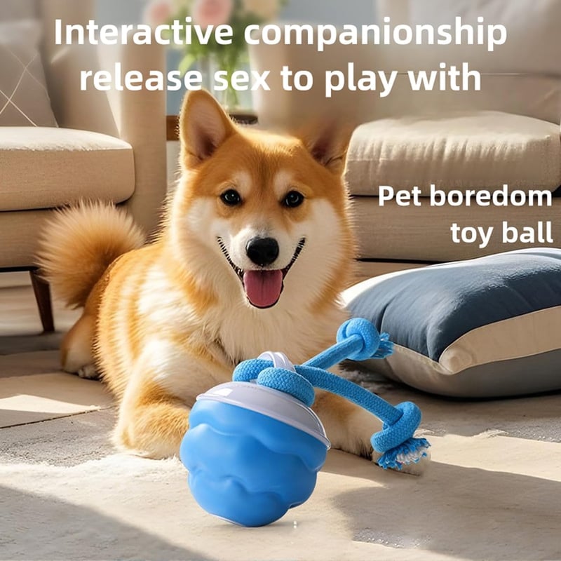 🔥Interactive Dog Toys with Motion Activated