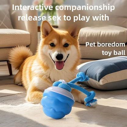 🔥Interactive Dog Toys with Motion Activated