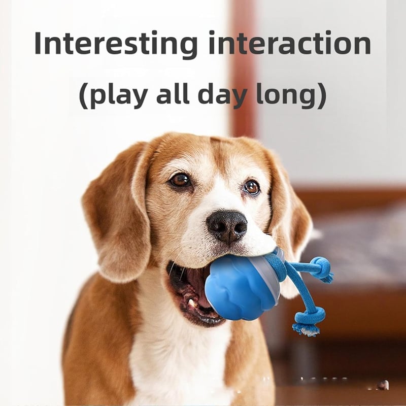 🔥Interactive Dog Toys with Motion Activated