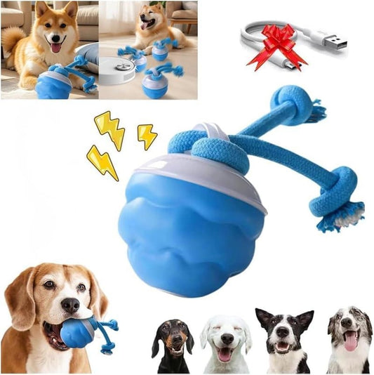 🔥Interactive Dog Toys with Motion Activated