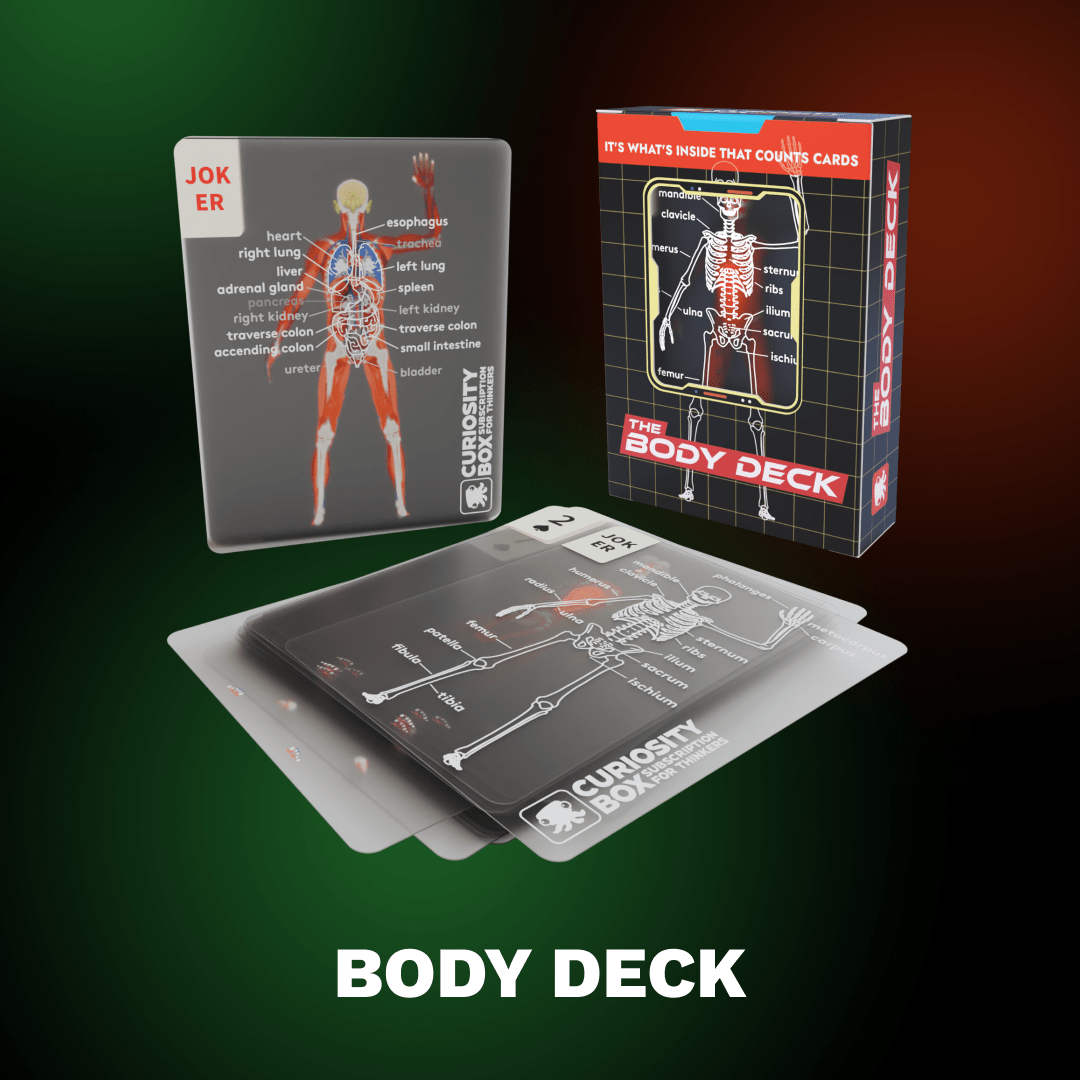 The Body Deck -💖Human Slice Playing Cards