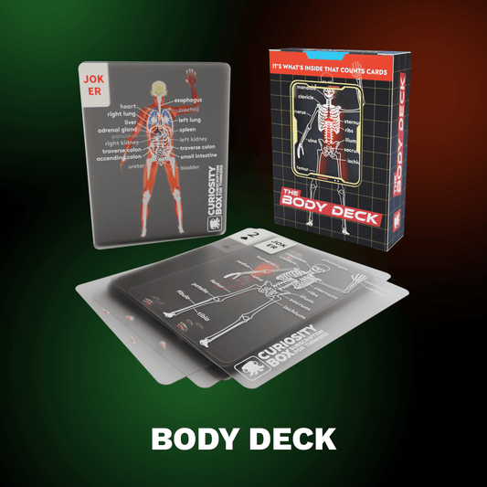 The Body Deck -💖Human Slice Playing Cards