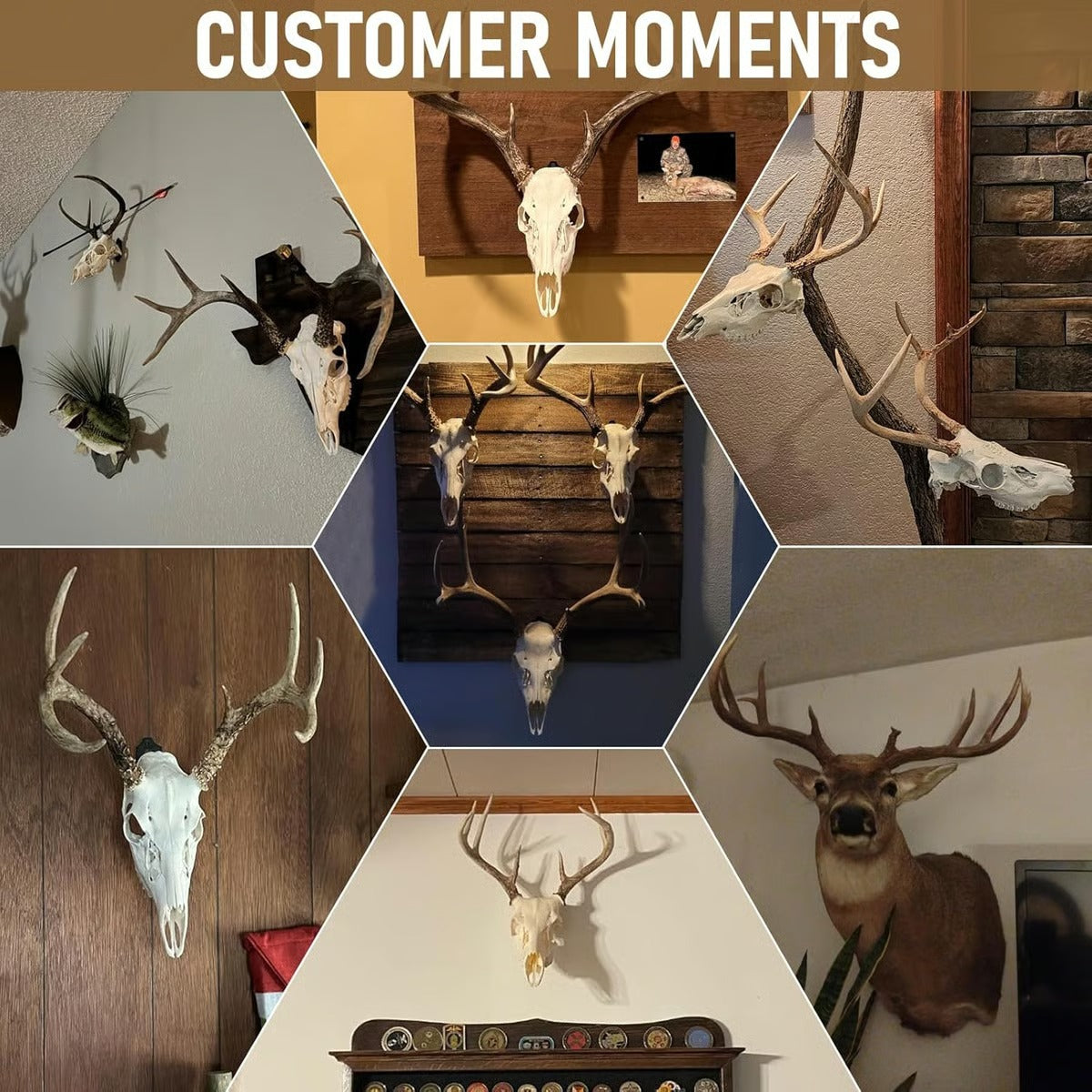 5Pcs Heavy-Duty Skull Mount Hanger