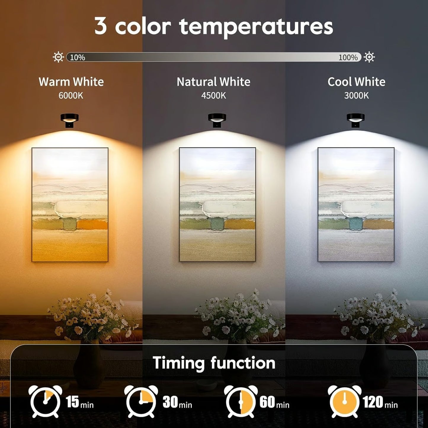 Picture Lights for Wall