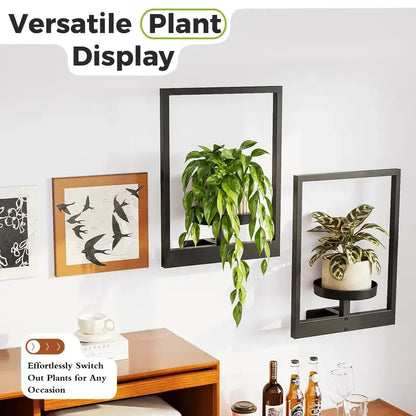 Indoor Plants Hanging Planter