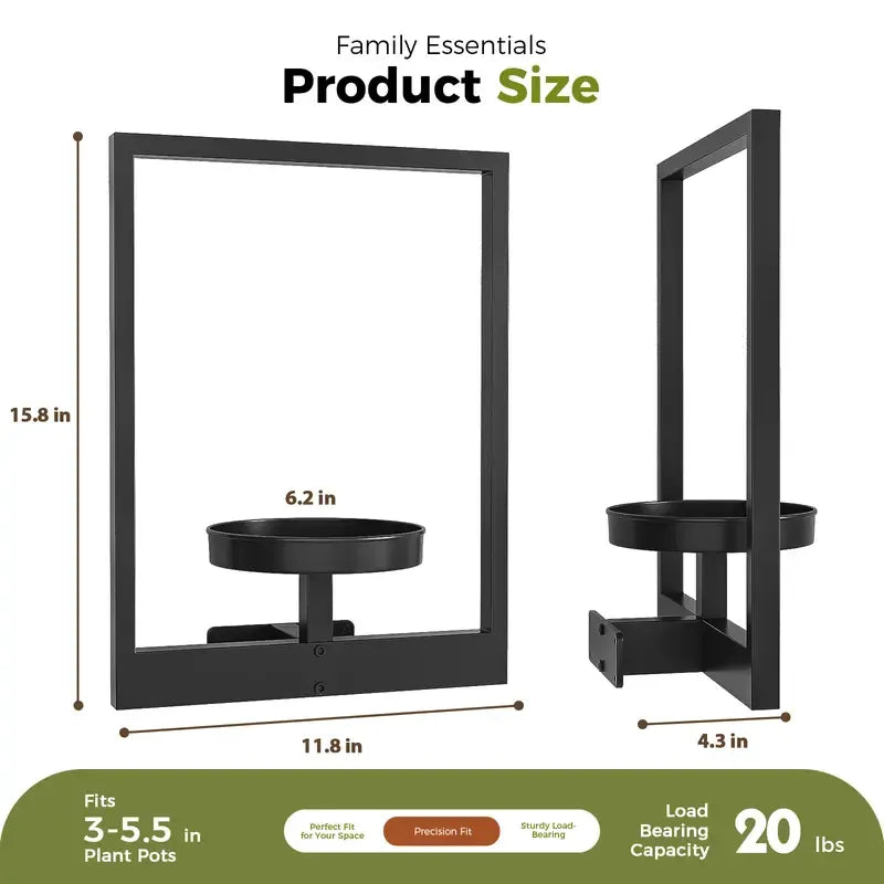 Indoor Plants Hanging Planter