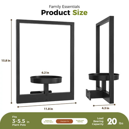 Indoor Plants Hanging Planter