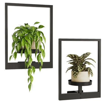 Indoor Plants Hanging Planter