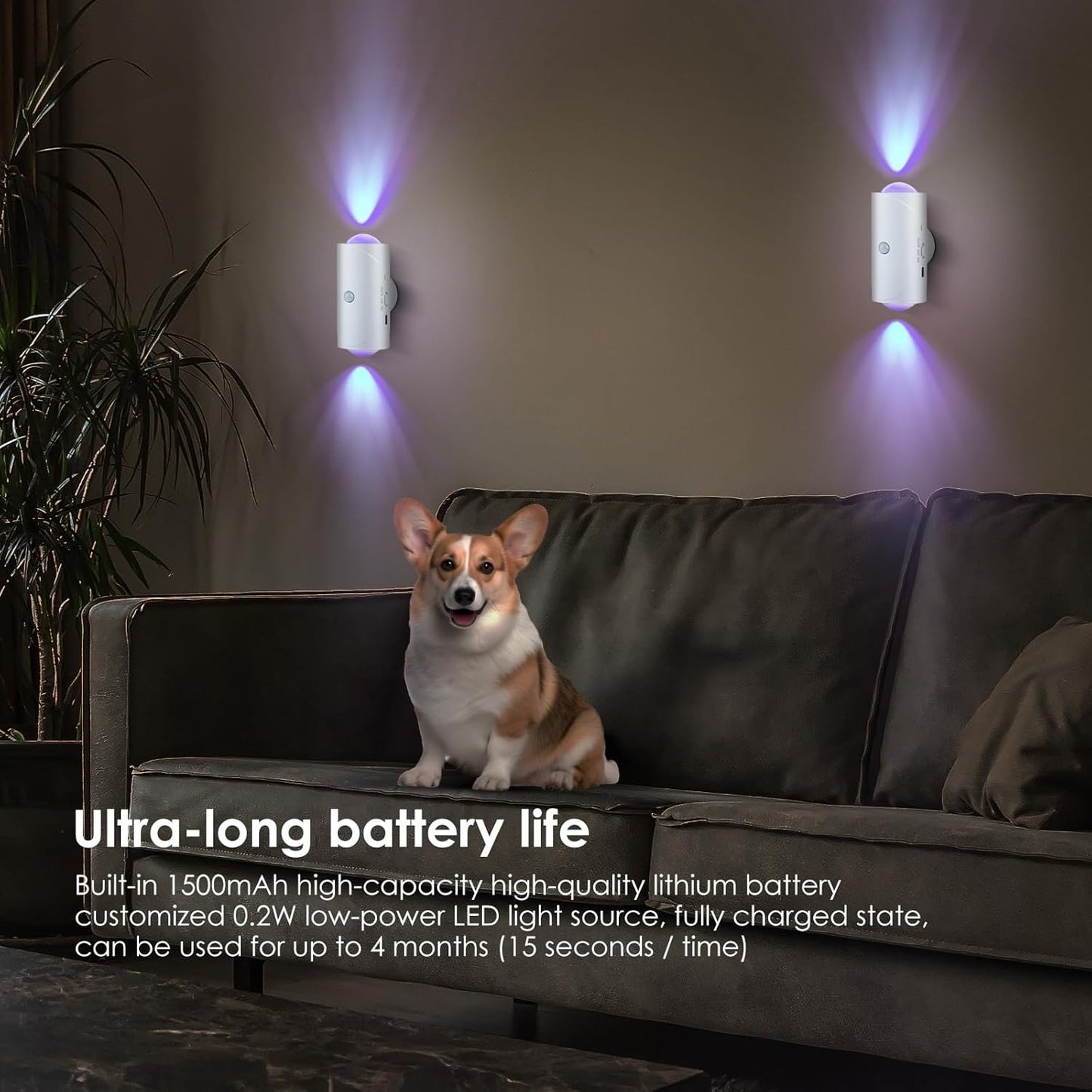 Seven-color Gradient Sensor Wall Lamp