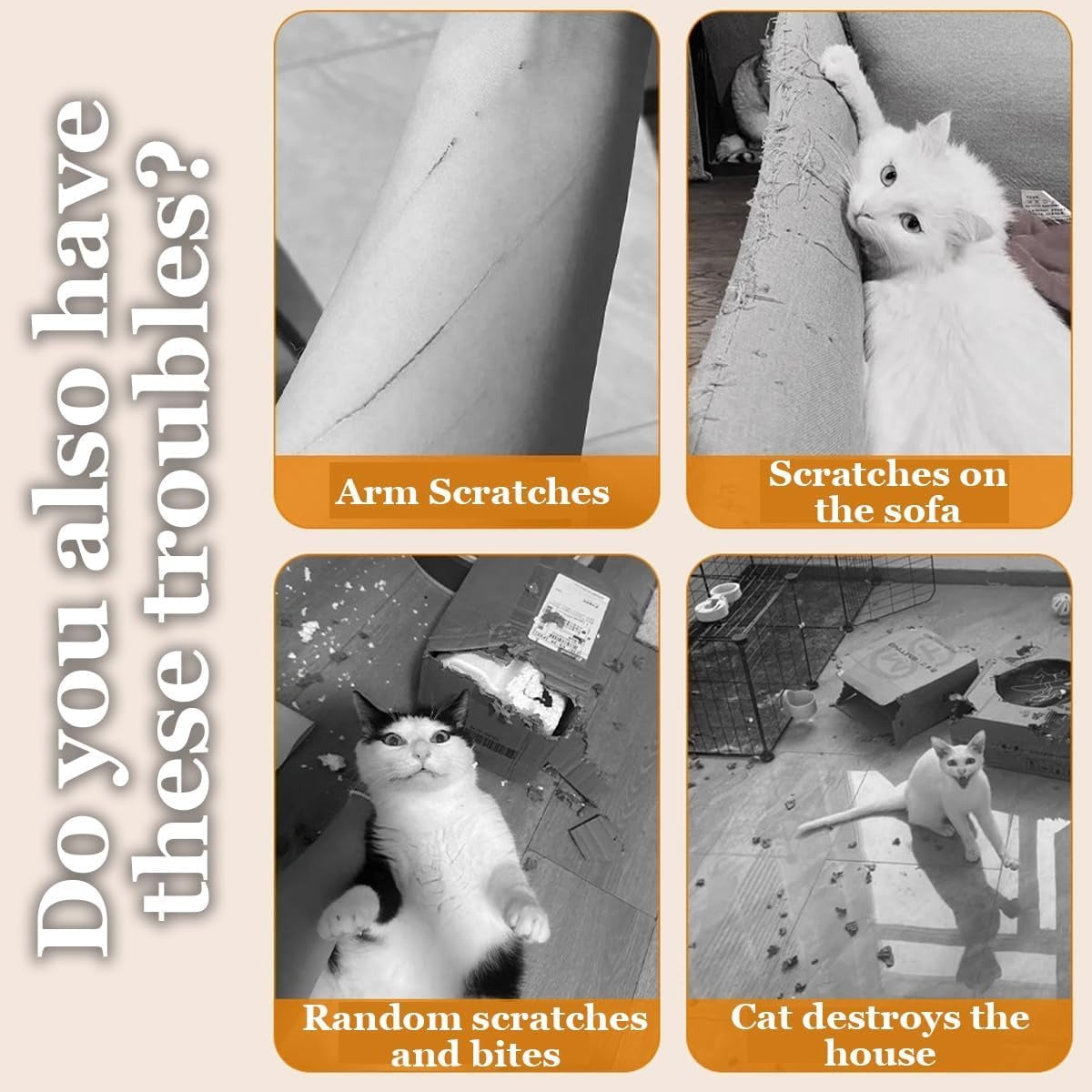 A Wear-resistant and Scratch-resistant Cat Scratching Board